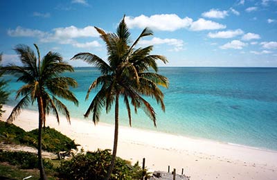 最新のベストな価格
をご覧下さい。