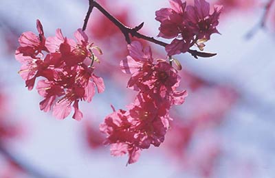 最新のベストな価格
をご覧下さい。