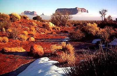 Aferryからの最新特別オファーをチェックできます。